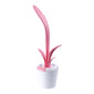 Clivia Table Lamp