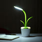 Clivia Table Lamp