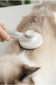 Stylish Pet Comb: A New Choice for Pet Hair Care