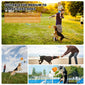 Pumpkin - Shaped Dog Tug - of - War Toy （Free Shipping)