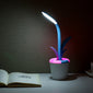 Clivia Table Lamp
