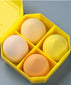 Beauty Egg -4-pack
