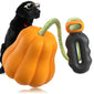 Pumpkin - Shaped Dog Tug - of - War Toy （Free Shipping)